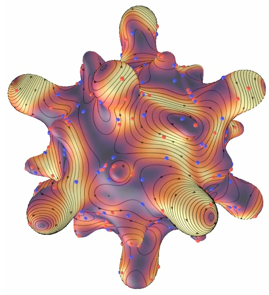 Surface active nematic